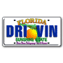 License Plate thumbnail