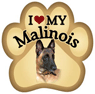 I love my Belgian Malinois! thumbnail