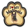 Belgian Malinois thumbnail