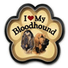 Bloodhound thumbnail