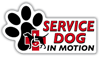 Service Dogs In Motion thumbnail